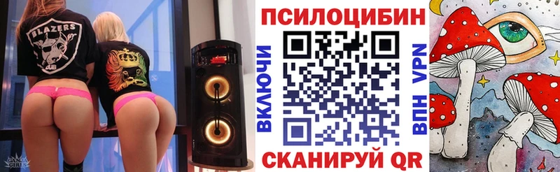 магазин продажи наркотиков  Ладушкин  Галлюциногенные грибы мицелий 