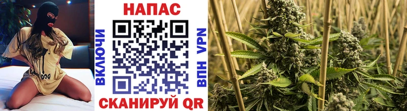 МАРИХУАНА семена  где продают   Ладушкин 